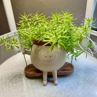 Pot de fleurs suspendu décoratif personnalisé en forme de dessin animé mignon avec visage souriant, pot hydroponique pour balcon, sol, plantes succulentes