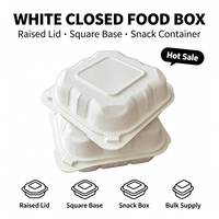 Contenitori per Alimenti in Schiuma MFPP 6x6 Senza BPA Capacità 19oz con Coperchio Scatole per Hamburger 19oz Logo Personalizzato in Rilievo