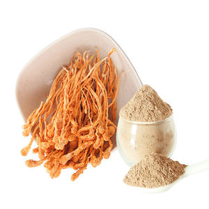 Cordyceps Militaris özü tozu polisakkaritler mantar enerji formülü - Product Image 4