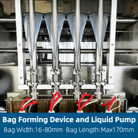 Machine de remplissage et d'emballage automatique multi-voies pour sachets de sauce, de ketchup et de bâtonnets de miel, machine d'emballage de bâtonnets glacés 4/6/8 voies