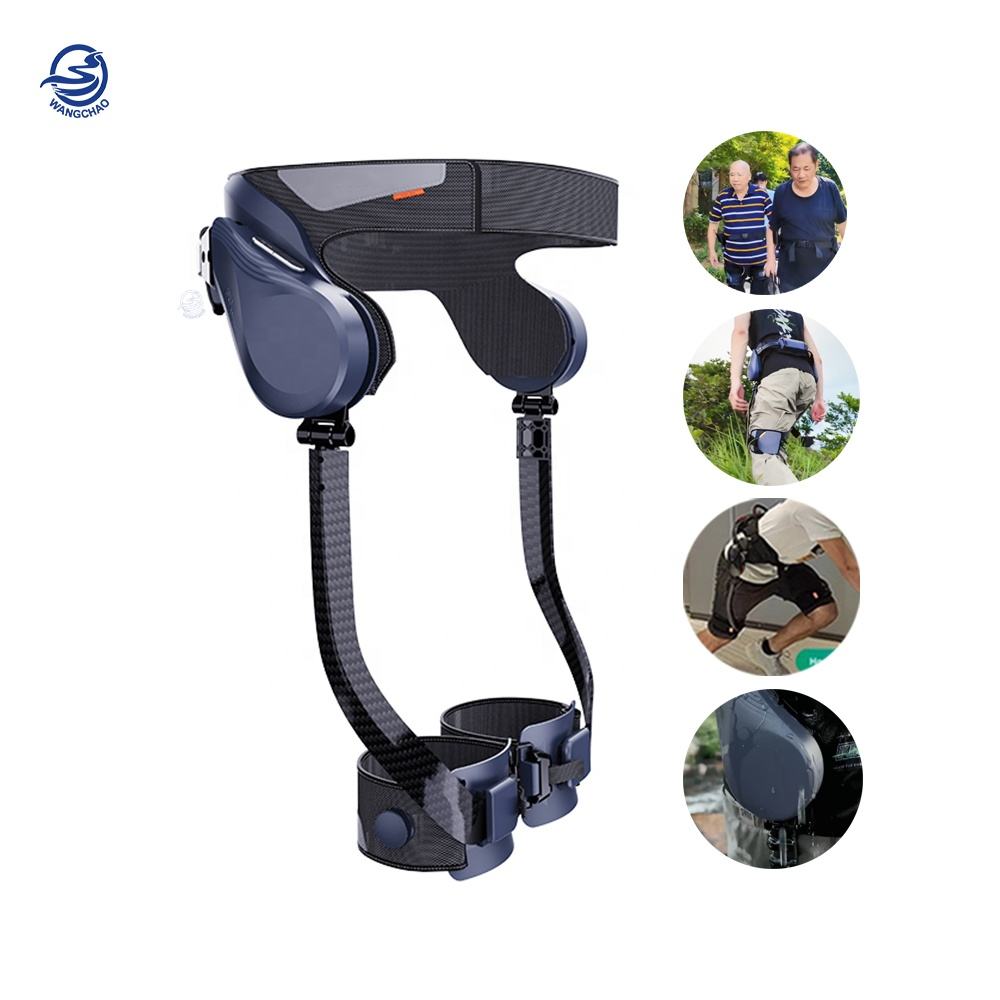 Wholesale Walking Robots 3k+