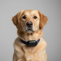 Traceur GPS intelligent sans fil 4G longue portée, étanche, mini, anti-perte, pour collier de chien, traceur GPS pour chat