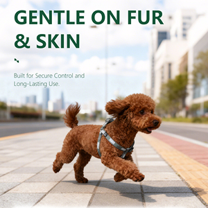 Arnés y Correa para Perros Pequeños Nunbell, Diseño en Y, con Estampado de Patas, Cierre Ajustable con Hebilla, de Poliéster Suave - Product Image 2