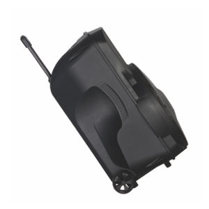 Alta calidad profesional BT Subwoofer Karaoke 15 pulgadas <span class=keywords><strong>DJ</strong></span> al aire libre Trolley altavoces corneta amplificada - Product Image 5