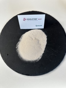 Vente en gros en ligne de Poolzyme MULTI, complément alimentaire de qualité alimentaire, végétarien, végétalien, sans ETO, mélange de lactase, protéase, amylase, lipase - Product Image 3