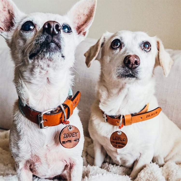 Лидер продаж с фабрики, Именные Бирки для собак, персонализированные кожаные бирки для собак на заказ