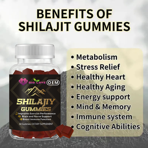 Gummies de Shilajit Énergie Cheveux Peau Ongles 60 Comprimés Crinière de <span class=keywords><strong>Lion</strong></span> Racine de Pissenlit Énergie Masculine Soutien Immunitaire Complément Alimentaire Herbal OEM - Product Image 3