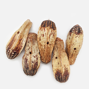 יאנג טאו גואו מיובש כל מהגוני פירות מהגוני תרמילי טבעי Carambola פירות מיובש Averrhoa פירות עבור ציפור מזון - Product Image 1