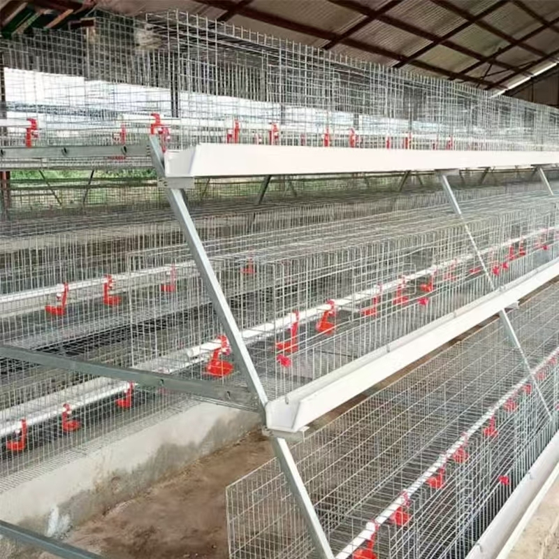 A Type Steel Cage New Condition