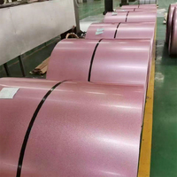 Bobina de Acero Galvanizado Prepintado PPGI con Certificación BIS RAL5023 a Precio de Fábrica para la Construcción de Infraestructuras de Plantas de Tratamiento de Agua