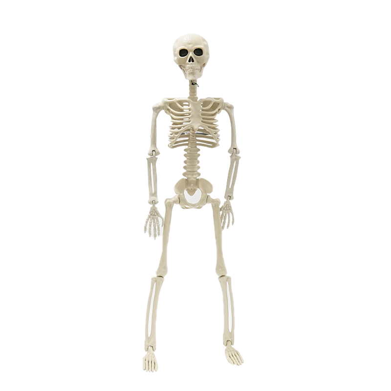 wholesale 5 foot plastic human life size skeleton halloween skeleton