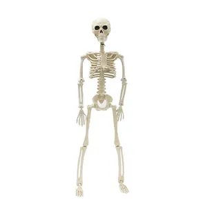 Al por mayor 5 pies de plástico humano tamaño natural esqueleto de Halloween