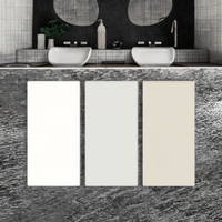 Carrelage Intop Ceramics 300*600mm, surface en micro-ciment texturé moderne, porcelaine mate antidérapante, bordures en brique réfractaire, épaisseur 9mm, garantie 5 ans