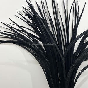 Plumes de faisan de carnaval noires longues teintes, plumes de queue de faisan Reeves pour costumes de festival de carnaval époustouflants - Product Image 6