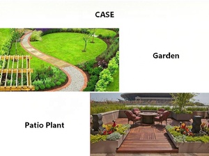 Bloc de cocopeat écologique, biodégradable, riche en nutriments, engrais pour les légumes et l'agriculture - Product Image 6