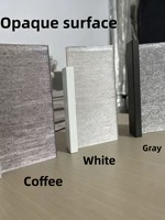 Verre filé haut de gamme personnalisé, style minimaliste nordique, avec surface finie pour portes de cuisine et de salle de bain