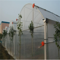 Serre en plastique transparente agricole Smart agricole pour tomates agricole