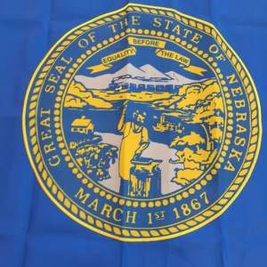 Drapeau fanion Nebraska 3x5FT en tissu Oxford 210D brodé, durable et résistant, avec les 50 drapeaux des États américains – Offre Spéciale - Product Image 2