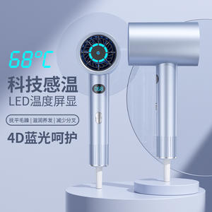 ไดร์เป่าผมมอเตอร์ดีซี 220V ป้องกันความร้อนแบบไอออนิก หัวเป่าเดี่ยว ใช้ในบ้านและร้านเสริมสวย - Product Image 2