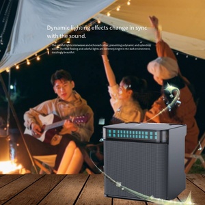 Altavoz Inalámbrico para Sistema de Karaoke al por Mayor, OEM ODM, con Luces LED RGB y 2 Micrófonos para Fiestas y Uso en Exteriores - Product Image 4