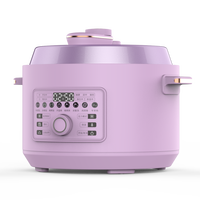 Cuisinière électrique professionnelle HY 53L avec contrôle par micro-ordinateur, boîtier en plastique, multifonction pour usage domestique
