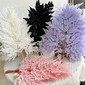 Hojas de Arachniodes Reales, Hojas Secas y Conservadas, Decoración para el Hogar y la Oficina, <span class=keywords><strong>10</strong></span> Piezas/Ramo, 40-50 cm, Graduación, Día de San Valentín - Product Image 4