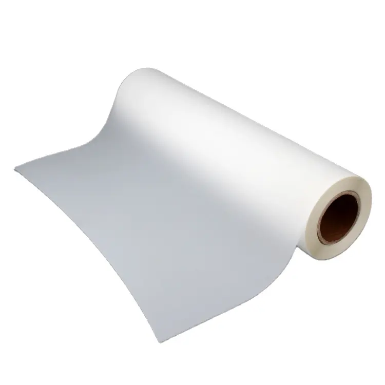 Hot Peel Cold Peel Double Single Side Printing 75 Micron 30 33 60 cm 60 cm 60 cm * 100m DTF PET Film Roll per stampante a trasferimento termico