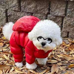 Rompi Hewan Peliharaan Mewah Musim Gugur Musim Dingin Warna Morandi Korea Sederhana Hangat Pakaian Bulu Wol Pola Cetak Hewan XL Teddy Kucing Kecil - Product Image 3