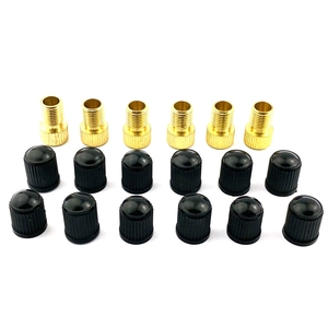 Ensemble de buses de gonflage multi-tailles |   Adaptateur Schrader/<span class=keywords><strong>Presta</strong></span>/<span class=keywords><strong>Dunlop</strong></span> Marque Hengtu 20g Léger Cuivre & ABS 15*9.8mm - Product Image 3