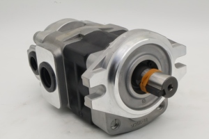 ZHENYUAN Hydraulikpumpe SDY1 SDY DDG SDB SD1 Zahnradpumpe SDY1-275L896 - Product Image 5