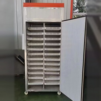 Déshydrateur alimentaire commercial en acier inoxydable, séchoir grande capacité avec 32/60 plateaux en option pour fruits, légumes, herbes et saucisses