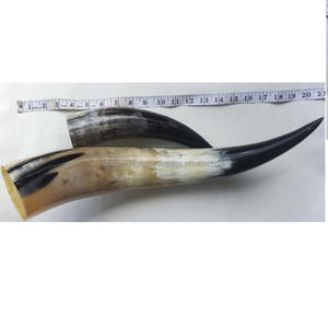 Bocina para beber de la mejor calidad, producto de cuerno de búhos reales, artículos de cocina, agua, bebida, precio barato - Product Image 5