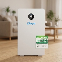 Batterie de stockage d'énergie domestique Deye, batterie au lithium Lifepo4, 51,2 V, 314 Ah, 16 kWh, prix de gros pour système solaire