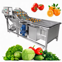 Automatische reinigingsmachines voor fruit, groenten, sla, ui, tomaat en bladgroenten