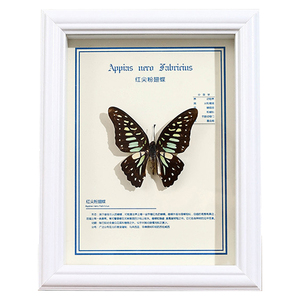 3D khô hoa bướm mẫu khung hình trang trí khung ảnh khung ảnh rỗng màu đen phong cách Châu Âu - Product Image 1