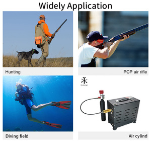 Pompe de plongée électrique TUDIVNG OEM haute pression 4500psi 300bar 30mpa Double cylindre <span class=keywords><strong>HPA</strong></span> Paintball natation 800W <span class=keywords><strong>compresseur</strong></span> d'air - Product Image 6