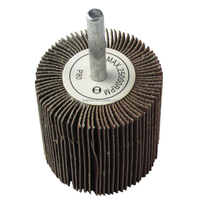 EVERTOOL Disque à lamelles abrasif monté sur mandrin, disque à lamelles pour polissage de métaux avec tige pour meulage, façonnage et élimination des soudures