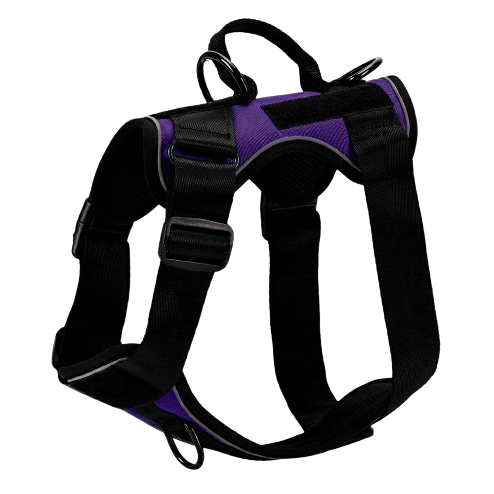 Vivid Purple