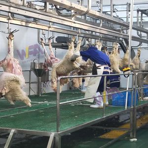 Chăn nuôi cừu Lò mổ thiết bị Lamb carcass giết mổ dây chuyền chế biến máy cho dê butcher máy móc - Product Image 3