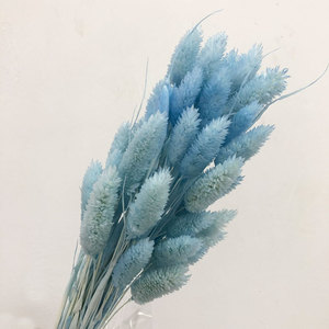 Venta al por mayor de alta calidad flor preservada piedras preciosas hierba seca <span class=keywords><strong>Phalaris</strong></span> para decoración del hogar DIY boda - Product Image 4