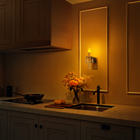 ZHILAI Mini Lampe Murale LED Moderne à Capteur de Lumière Ambre, Contrôle Crépuscule-Aube, Brillance Réglable, pour Chambre et Escaliers