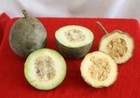 Premium Wild Peruaanse Huito Gedroogd Poeder van Hoge Kwaliteit, Voedingsmiddelkwaliteit, Genipa Americana Bulk Fruitpoeder, HACCP Gecertificeerd, 100%