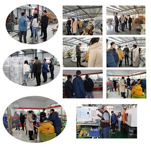 Riego de jardín de plástico PP, riego por aspersión, sistema de riego por goteo, caja de válvula de Control de superficies - Product Image 5