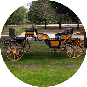 Carruaje de Lujo para Recorridos Turísticos con Barra de Luces, Carruaje Eléctrico sin Caballos, Carroza, Carro de Caballos, Gran Venta - Product Image 1