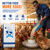 SAIK Prémélange en poudre composé à 5 % avec vitamines et acides aminés pour poules pondeuses favorisant la croissance