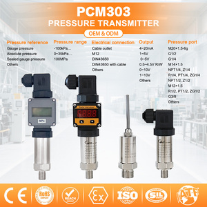 PCM303 Transmetteur haute performance 100MPa, résistance aux chocs de 200g pour systèmes d'essais automobiles OEM ODM - Product Image 4