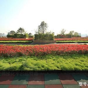 Jardins modulaires sur toits verts pour des villes saines – Jardin de toit vert - Product Image 5