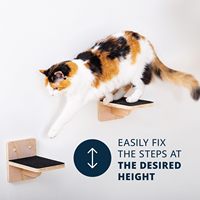 Étagères murales flottantes pour chats et plateformes d'escalade, mobilier mural pour chats avec marches