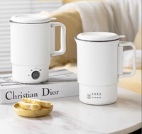 Bouilloire Électrique Portable Multifonctionnelle Sans Fil en Acier Inoxydable 316, Tasse de Voyage à Chauffage Rapide, Utilisation Domestique