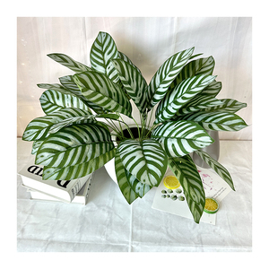 Fulin <span class=keywords><strong>7</strong></span> dĩa màu xanh lá cây lá cho trang trí nhà đám cưới Vườn chụp ảnh Prop nhân tạo thực vật - Product Image 4